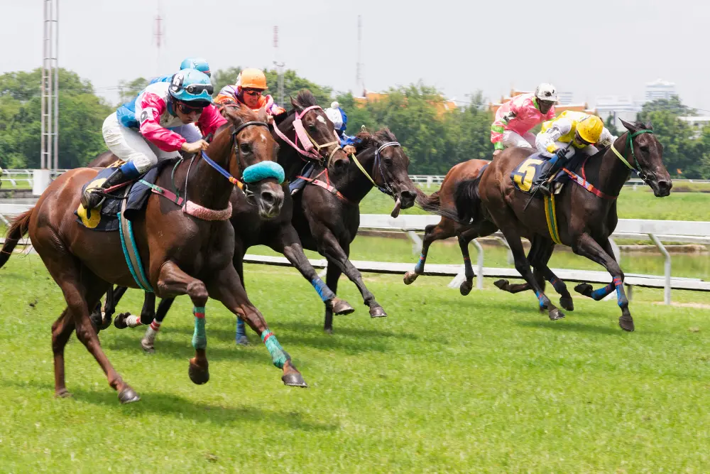 Courses hippiques – Plat (15 septembre)