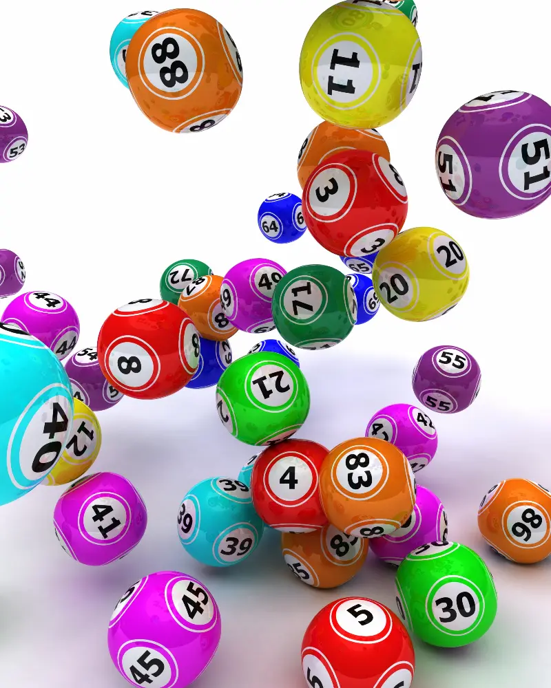 loto de l'association Compagnie d'Arc